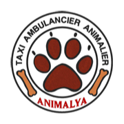 Logo Animalya