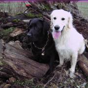 Binty et Djazy