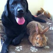 Binty et Praline